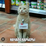 Telegram profile photo for Видюшки от девчушки