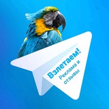 Telegram profile photo for Взлетаем! — кабинет полезных услуг