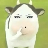 Telegram profile photo for .penipu