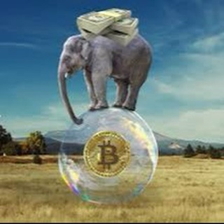 Telegram profile photo for Slon Info 🐘 криптообменник
