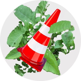Telegram profile photo for заросли