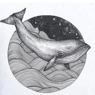 Telegram profile photo for 🐋 Рыба, морепродукты ДВ оптом 🐋