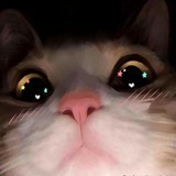 Telegram profile photo for 🐾𝐜𝐡𝐚𝐥𝐥𝐞𝐧𝐠𝐞🍓