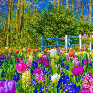 Telegram profile photo for گلچین های لوکس