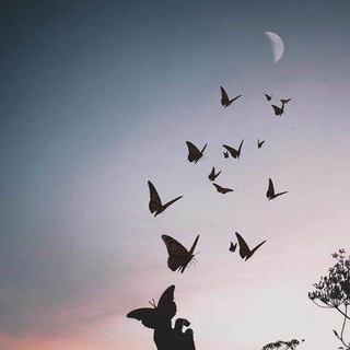 Telegram profile photo for || عَـــــــن بُــــــعْــــــد ||