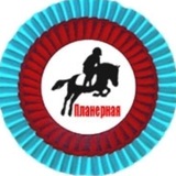 Telegram profile photo for МАУ ДО "СШ "Планерная"