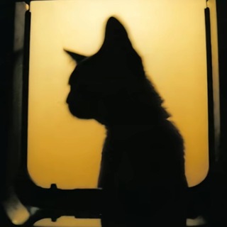 Telegram profile photo for 时念念的频道