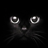 Telegram profile photo for Pattern matching