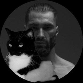 Telegram profile photo for Fofuxos