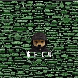 Telegram profile photo for FIW CTO