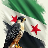 Telegram profile photo for مختارات🌍