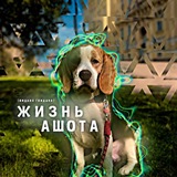 Telegram profile photo for Жизнь Ашота (Гвидона)