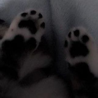 Telegram profile photo for 77