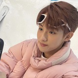Telegram profile photo for dried flower