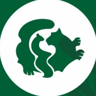 Telegram profile photo for Иркутский Зоосад