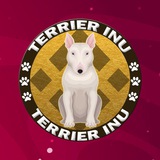 Telegram profile photo for Terrier Inu