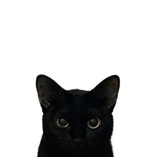 Telegram profile photo for твой контентмейкер