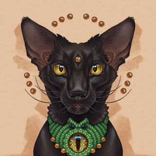 Telegram profile photo for Інь, Янь, Хрінь і одна жінка