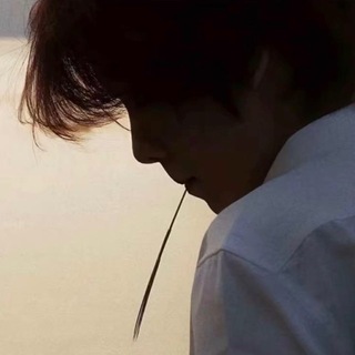 Telegram profile photo for 泽狗 舆情处理