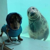 Telegram profile photo for ишаковская зона