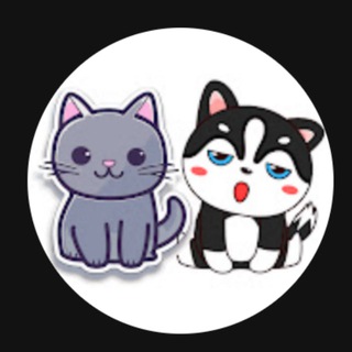 Telegram profile photo for 藍貓黑狗比特研究院-台股/美股/黃金/加密貨幣