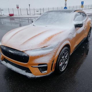 Telegram profile photo for Ford Mustang Mach-E Russia