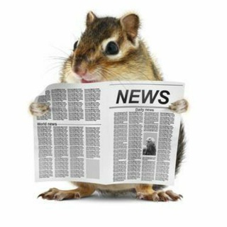 Telegram profile photo for Il Ratto Quotidiano