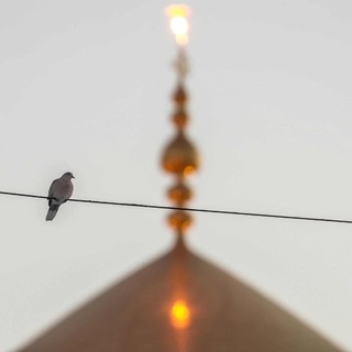 Telegram profile photo for شِفآءٌ