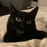 Telegram profile photo for ✨мастерская на яузе✨