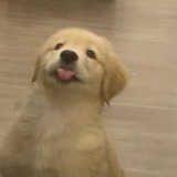 Telegram profile photo for JastipStore's Document