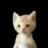 Telegram profile photo for 👽Mishashka👽