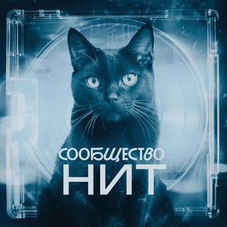 Telegram profile photo for сообщество НИТ