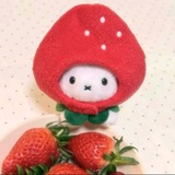 Telegram profile photo for Aɾƈԋιʋҽ