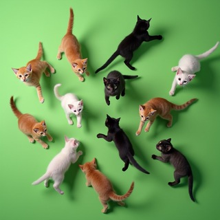 Telegram profile photo for Почём токены для народа?