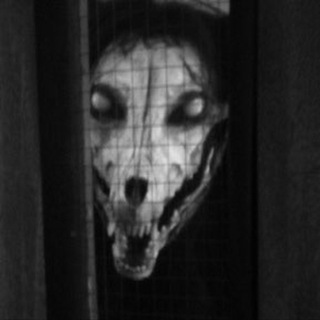 Telegram profile photo for Robert