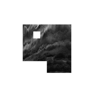 Telegram profile photo for black is back
