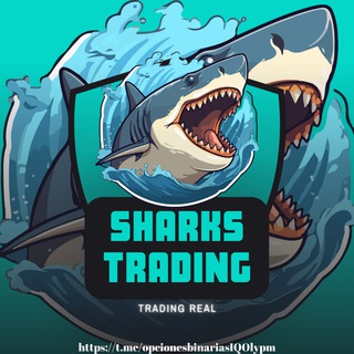 Telegram profile photo for Señales Binarias Olymp Trade - IQ OPTION 💎🍀