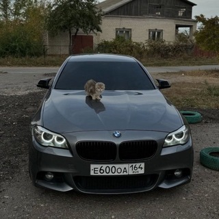 Telegram profile photo for MY BIO