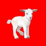 Telegram profile photo for ЧЕ?четка