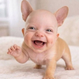 Telegram profile photo for тихинское быдло