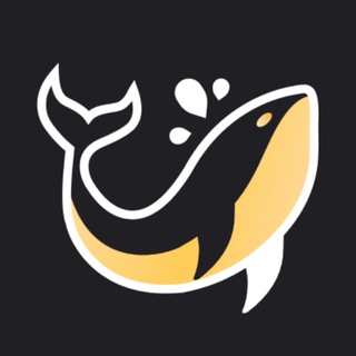 Telegram group profile photo for WhalePool