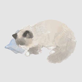 Telegram profile photo for уютный лайф