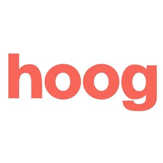 Telegram profile photo for hoog news