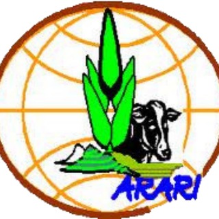 Telegram profile photo for Amhara Agricultural Research Institute(ARARI)