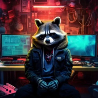 Telegram profile photo for 🐾RACCOON SECURITY🐾 - канал команды экспертов в области практической информационной безопасности и криптографии