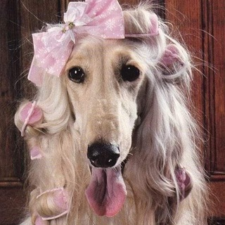 Telegram profile photo for скарлетт рисует