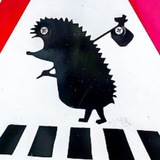 Telegram profile photo for Сборник всякого