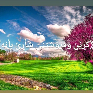 Telegram profile photo for 《کڕێڼ ۆفڕۆشتڼێ شأڕئ بأڼه》