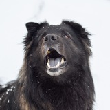 Telegram profile photo for Дʙ᧐ρняжκᥲ 𐌿уɯᥙᥴᴛᥙκ🫶