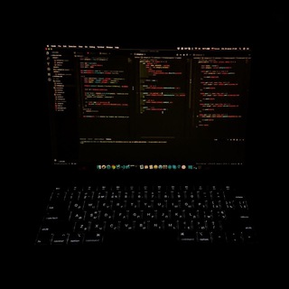 Telegram profile photo for IT Navigator